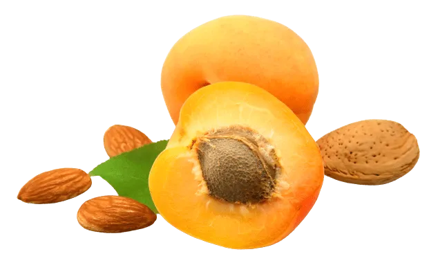 apricot with seeds around it